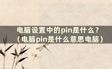 电脑设置中的pin是什么？ （电脑pin是什么意思电脑）